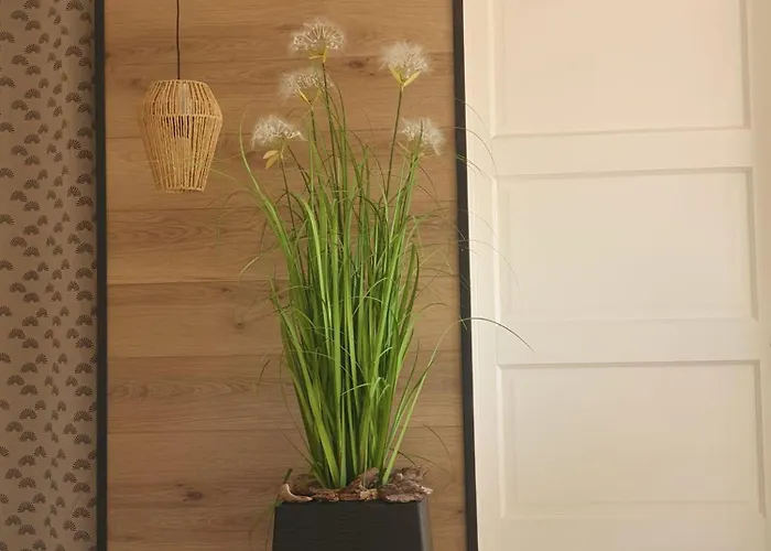 Corsappart * פורטו-וישיו