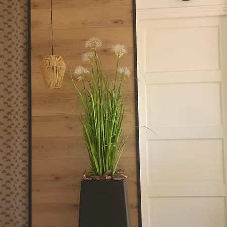 Corsappart * بورتو فيكشْيو